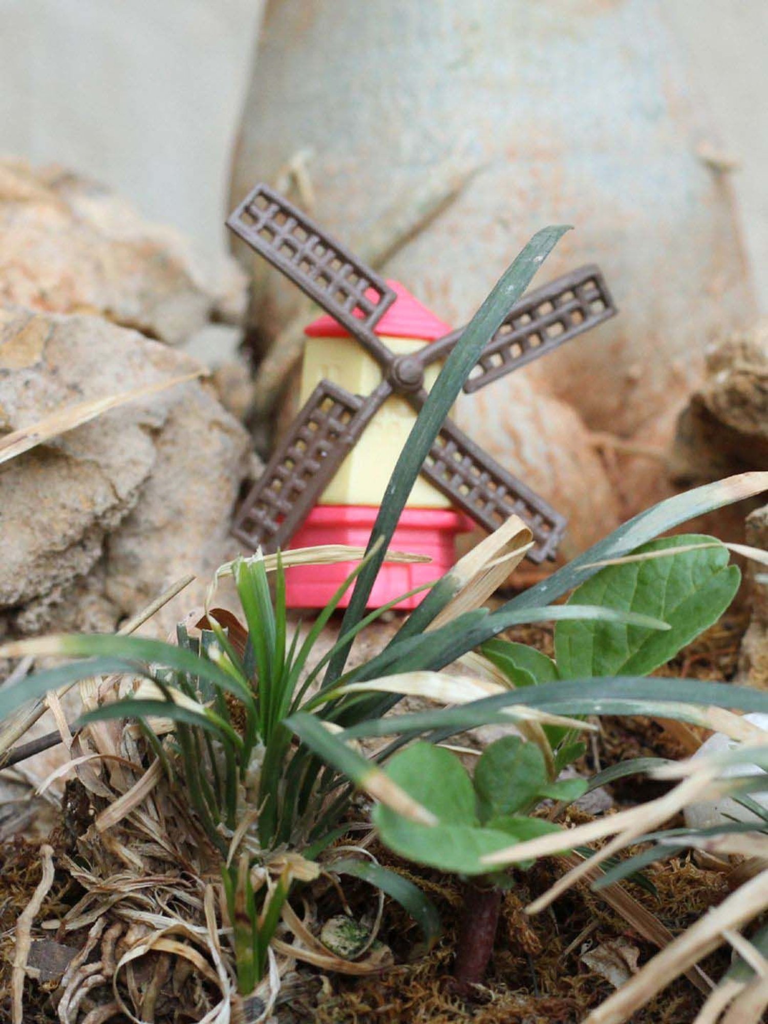 Tayhaa Yellow & Red Plastic Wind Mill Toy Showpiece - Set of 5