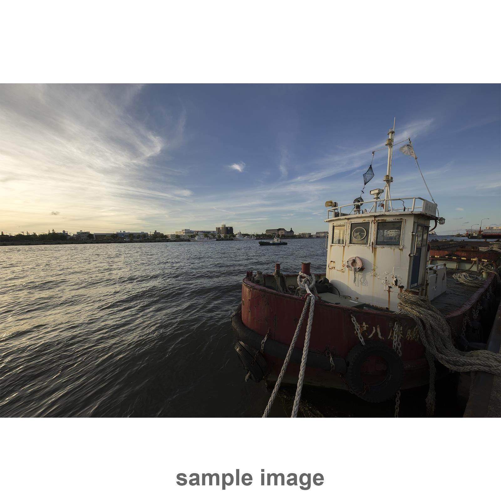 Sigma 12-24mm f4 DG HSM Art Lens for Canon