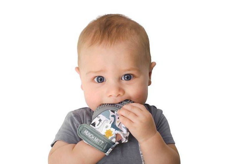 Munch Mitt Malarkey Kids' Teether with Travel Bag - Dino