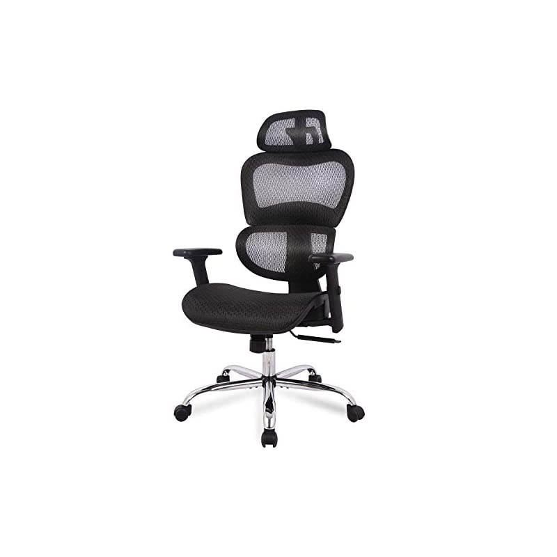 Chair, Ergonomics Mesh Chair Computer Chair Desk Chair High Back Chair w/Adjustable Headrest and Armrest