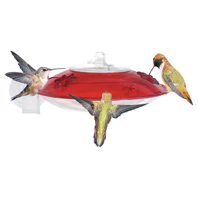 Droll Yankees WH-3 2 Flower Port Bird Feeder - 6oz