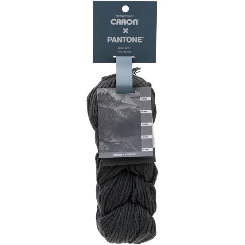 Caron X Pantone Yarn-Dane Gray