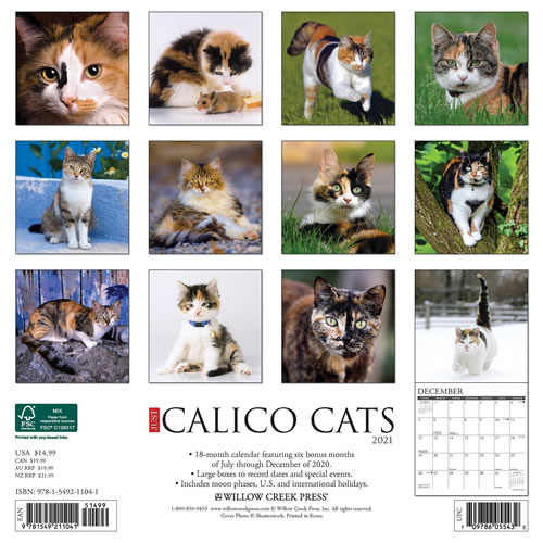 2021 Calico Cats Wall