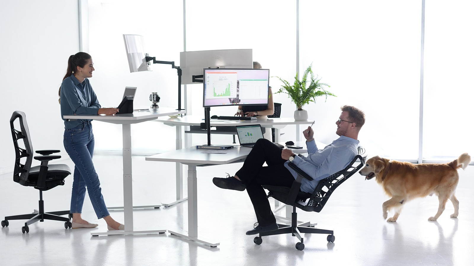 Autonomous Ergonomic Office Chair - ErgoChair Pro+ Black Frame, Grey TPE with Grey Mesh