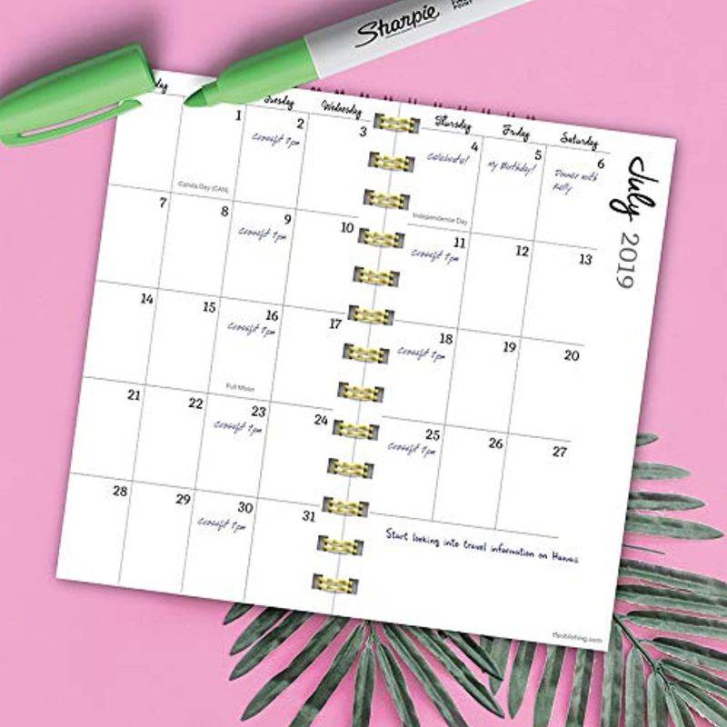 July 2019 - June 2020 Painted Stripes Small Daily Weekly Monthly Planner