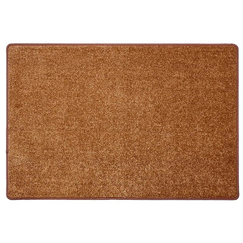 Landing Carpet NonSlip Matching Mat for s Indoor Rug SelfAdhesive Easy Installation Pet Child Friendly Skid Resistant Washable Brown 2 x 3