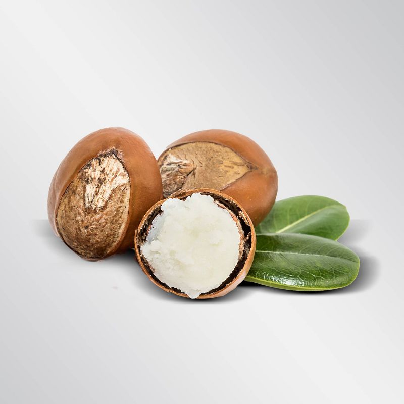 Old Spice Daily Hydration Men's Hand & Body Lotion with Shea Butter - 16 fl oz 