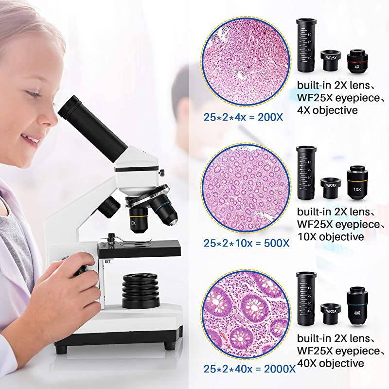 Microscopes for Kids Students Adults with Microscope Slides Set Phone Adapter Powerful Biological Microscopes for School Laboratory Home Science Education