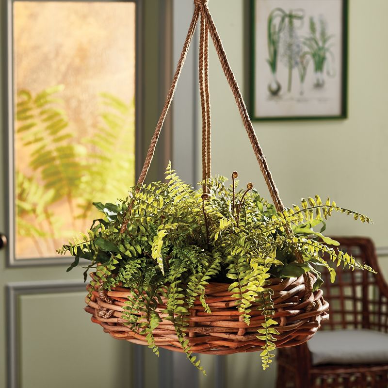 Plum & Post Rattan Hanging Basket