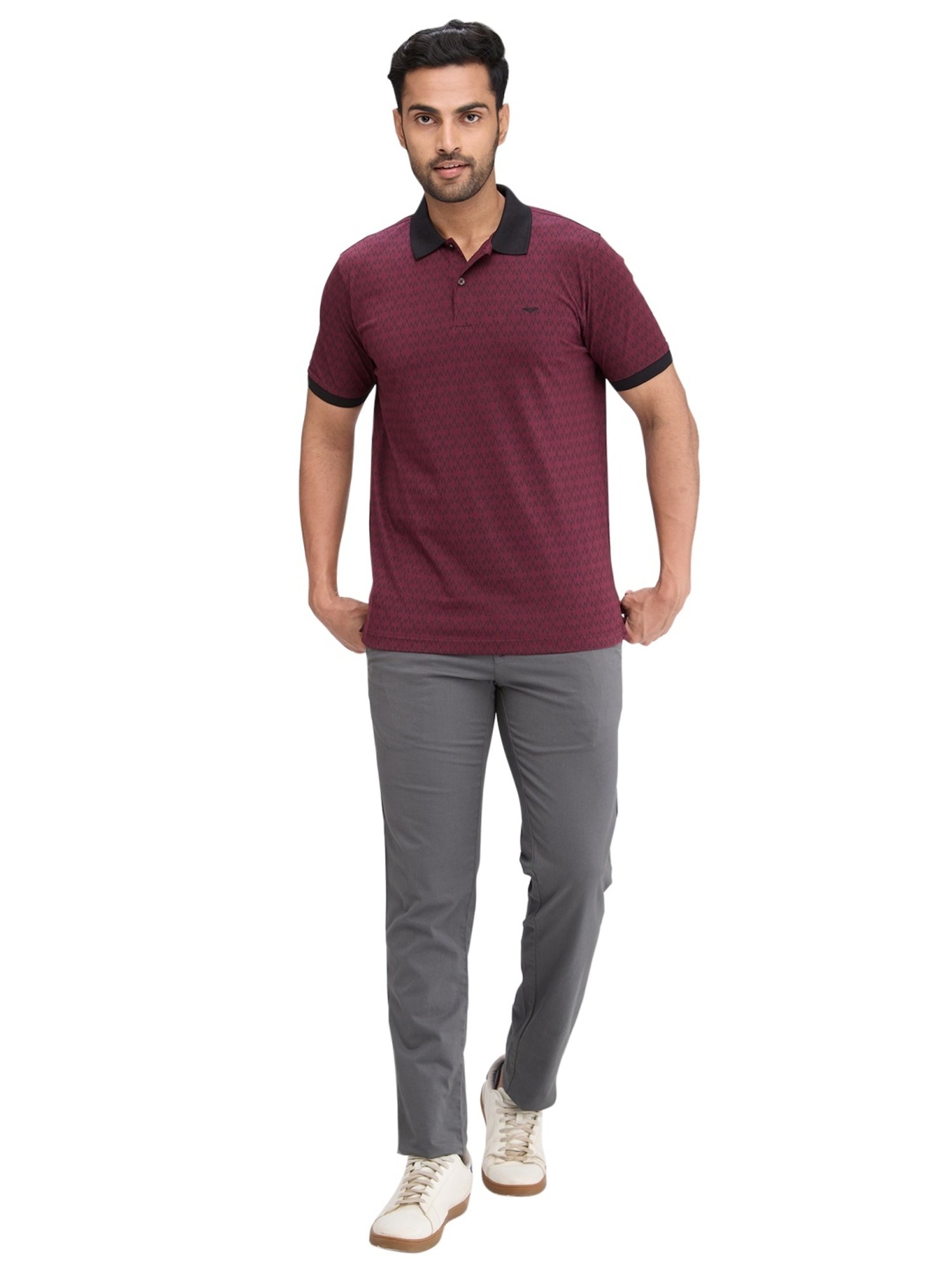 Park Avenue Maroon Slim Fit Printed Polo T-Shirt