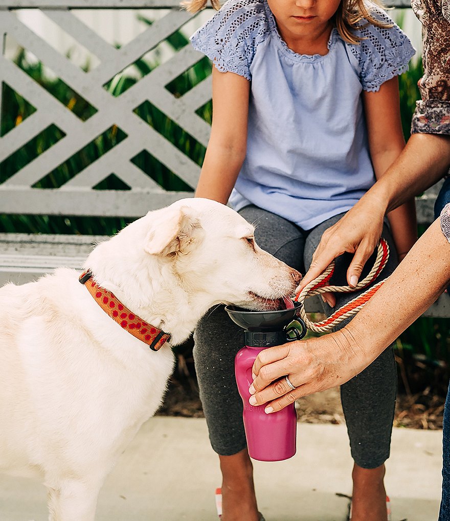 Hype HIGHWAVE AutoDogMug&reg; Leak-Tight