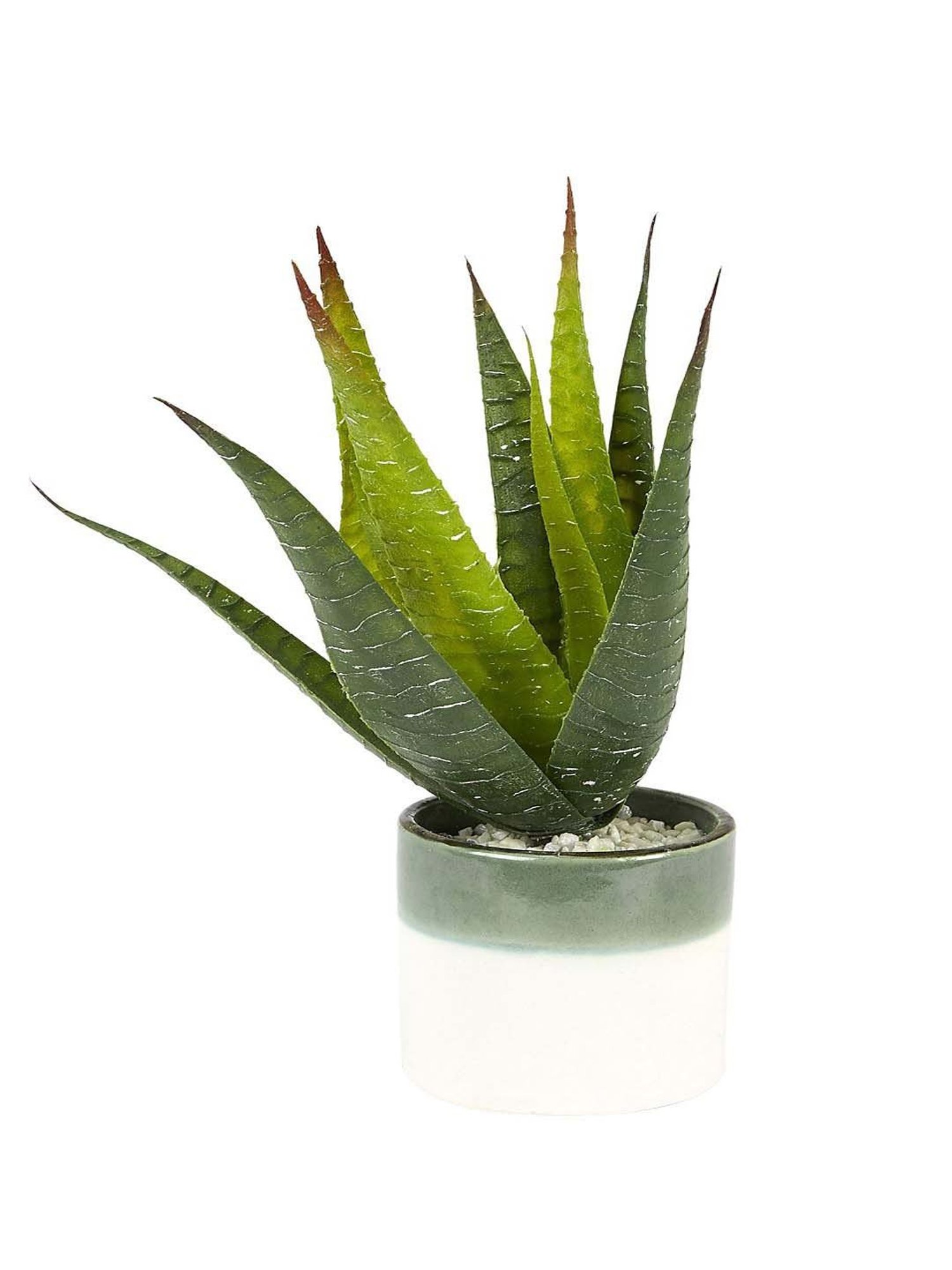 Living Scapes by Pantaloons Green Plastic Artificial Plant Vases