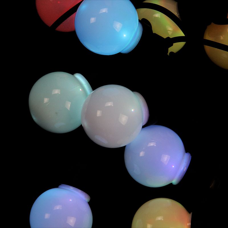 Kaemingk 20 Multi-Color LED G45 Globe Christmas Lights - 31 ft Black Wire