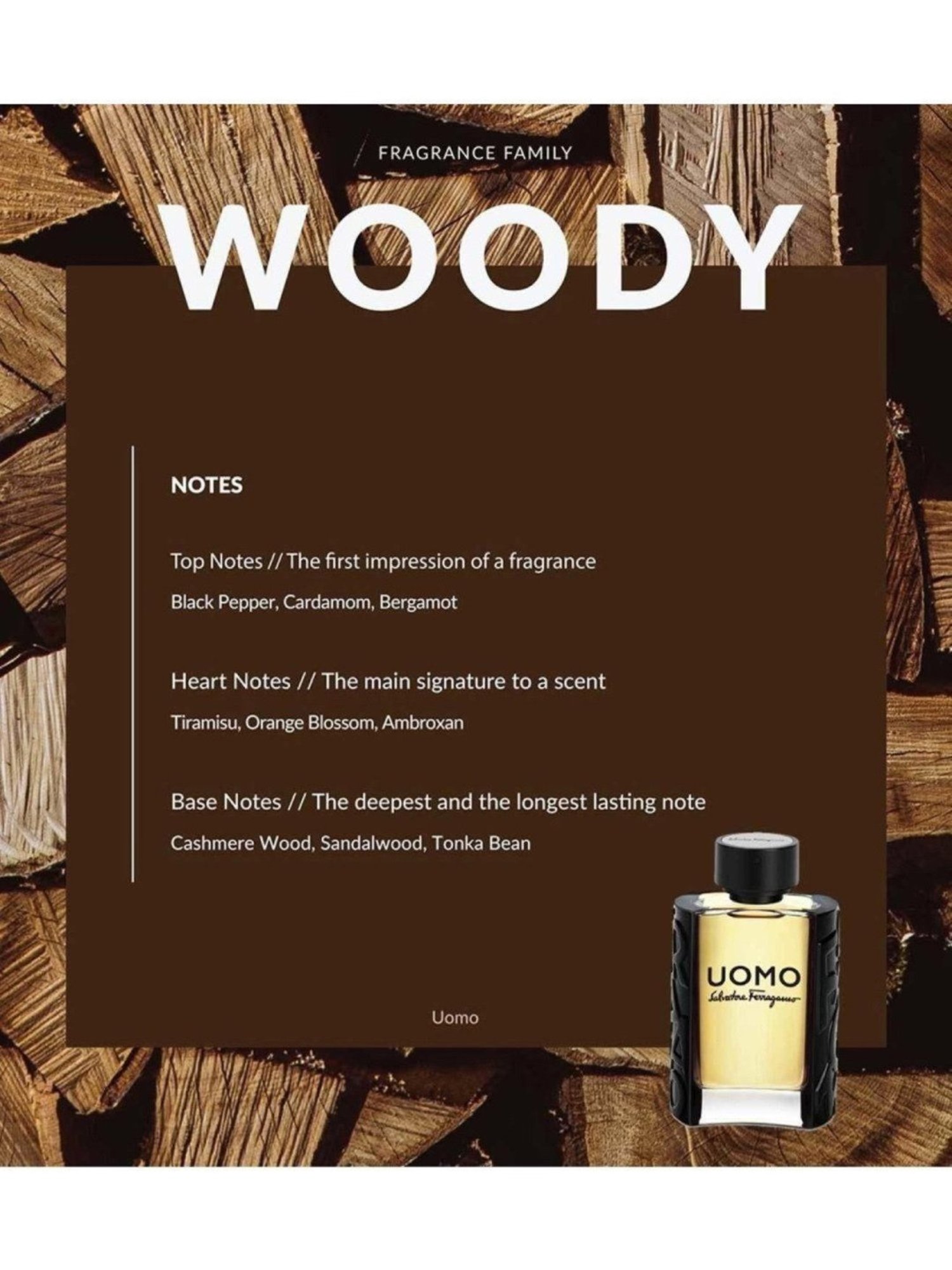 Salvatore Ferragamo Uomo Eau de Toilette 100 ml for Men