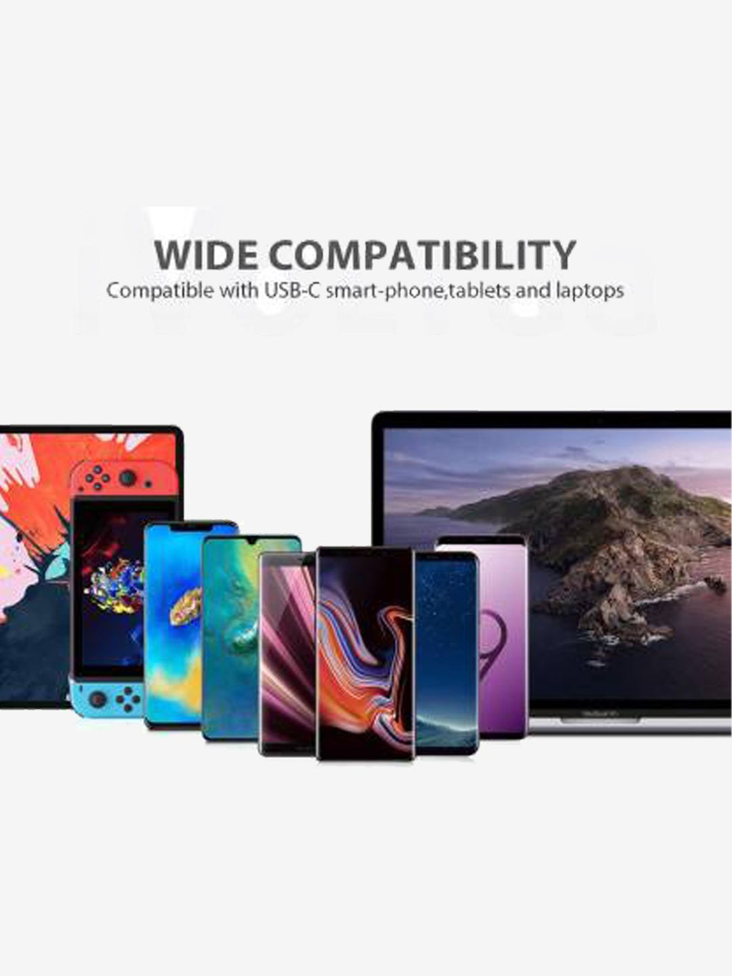 iVoltaa 2in1 Micro Type C 1 m Cable (Black)