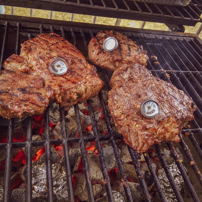4pk Steak Thermometers - Outset