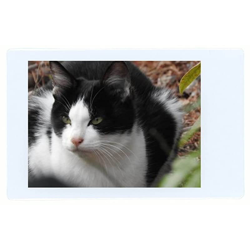 Instax Mini Instant Film 8 Twin Packs 160 Total Pictures for Instax Cameras