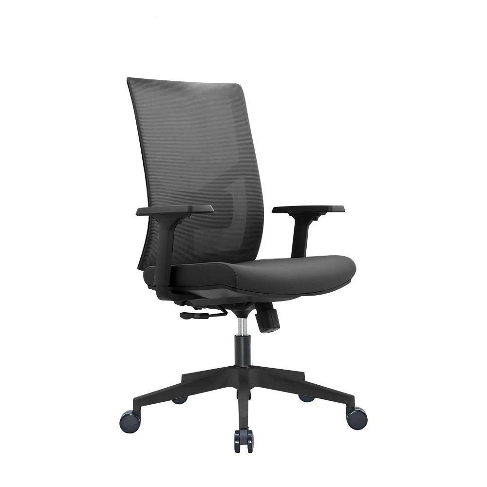 Ergonomic Multi Function Mesh Office Chair with Lumbar Support, Adjustable Armrest (Without Headrest, Black)