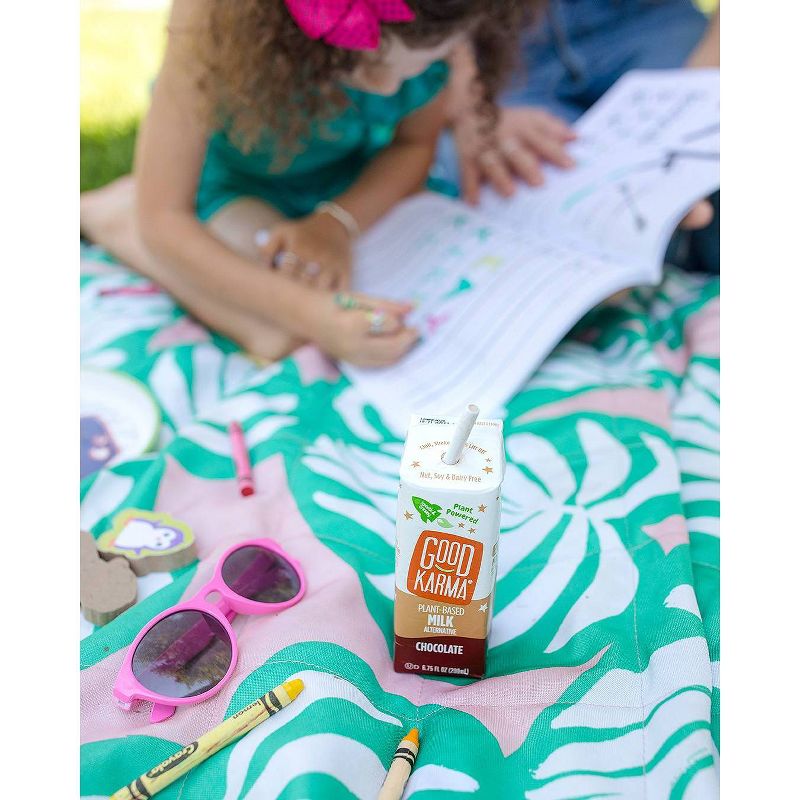 Good Karma Chocolate Flaxmilk - 6pk/6.75 fl oz Carton