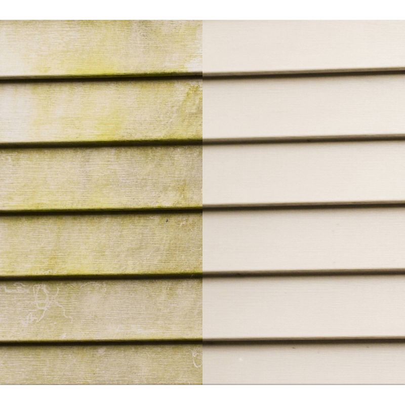 BISSELL 22 floz Oxy Stain Destroyer Pet For Carpet and Upholstery