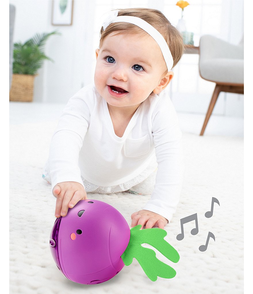 Skip Hop Beetbox Crawl Ball