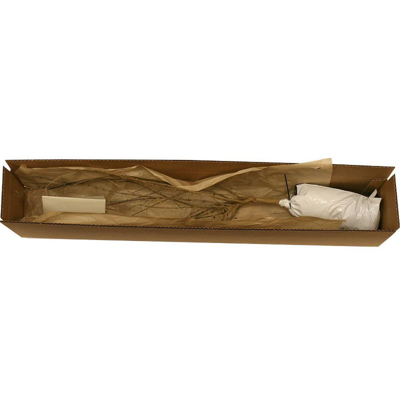 Van Zyverden Honeysuckle Root Stock Pink