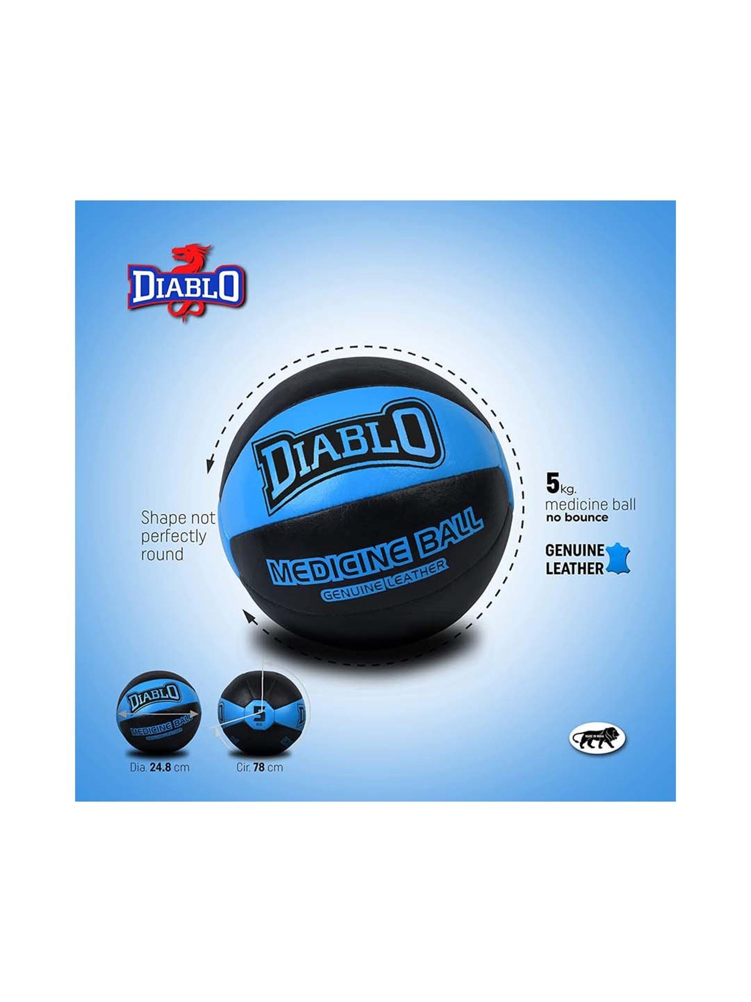 Diablo Black & Blue Genuine Leather No Bounce Medicine Ball (5kg)