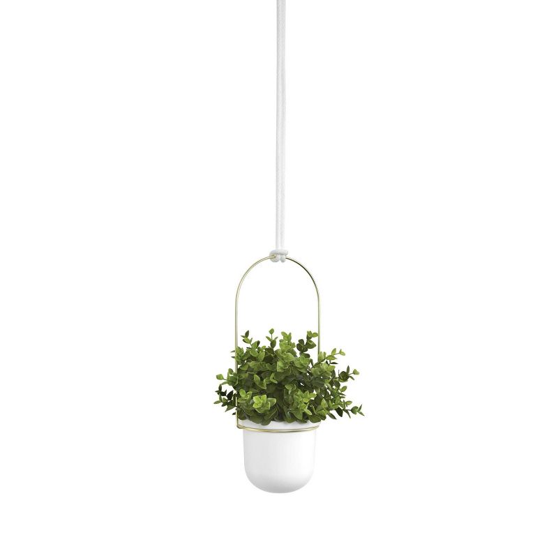Self-Watering Hanging Basket - Gardener's Supply Company