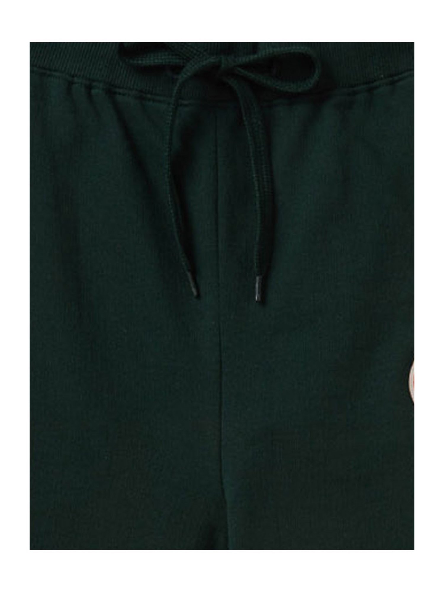 Cub McPaws Boys Green Printed  Joggers