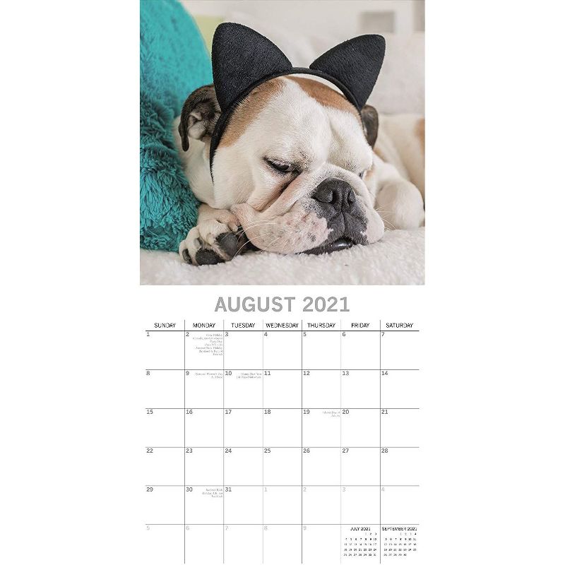 2021 The Everygirl Wall Calendar 15" x 12" Liam - Blue Sky