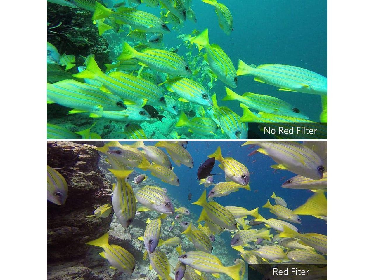 Case Housing Waterproof Case for Gopro Hero 7 Black Gopro Hero 5 Gopro Hero 6 Gopro Hero 2018 Action Camera Waterproof 147ft(45Meters)