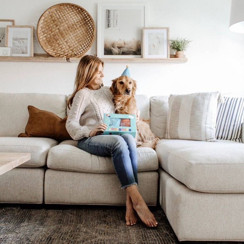 ZippyPaws Display Birthday Box Dog Toy - 3pk