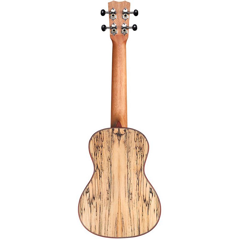 Cordoba 24C Spruce Spalted Maple Concert Ukulele Natural