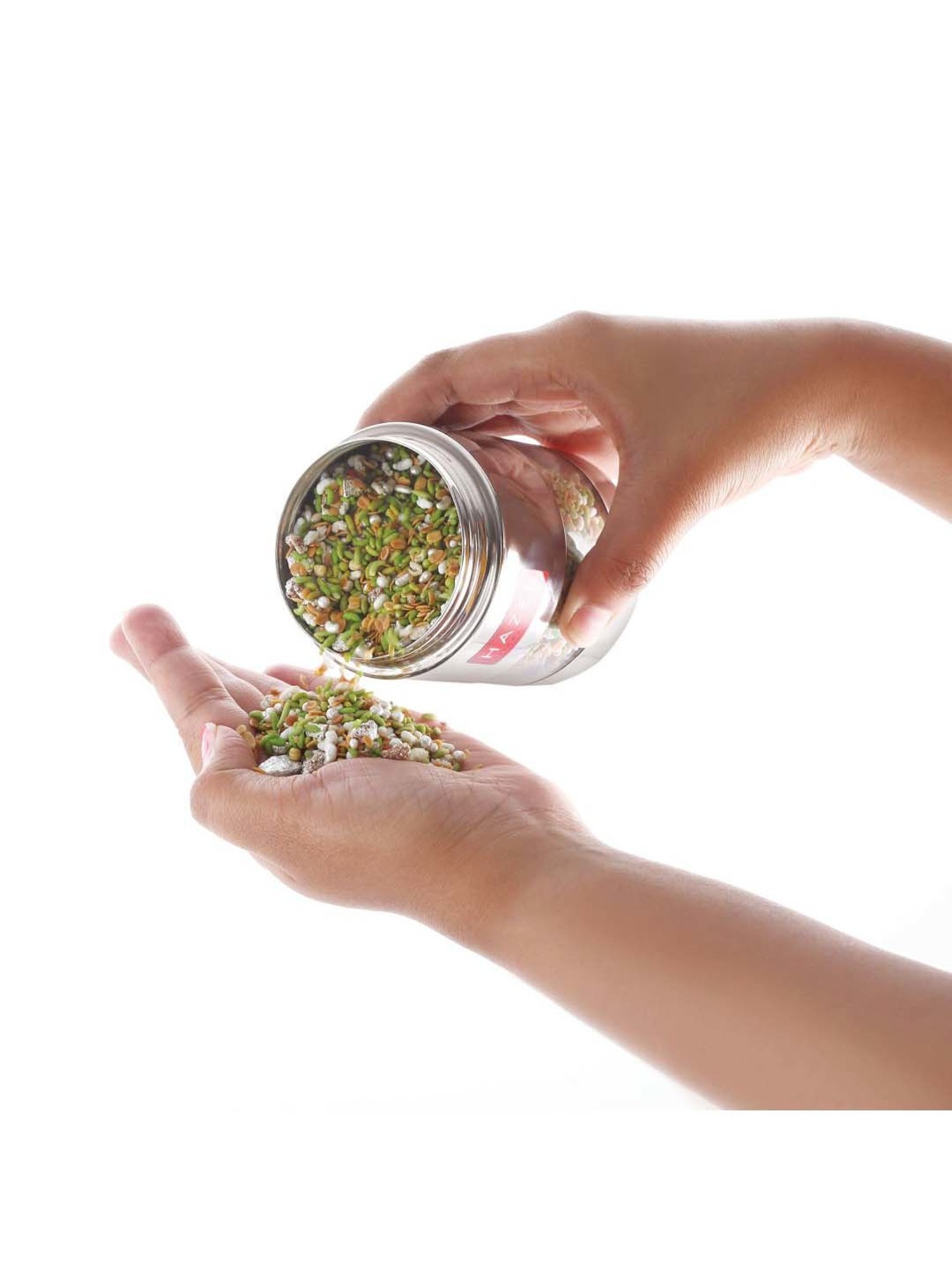 HAZEL Silver & transparent Stainless Steel Mukhwas Container (0.3 L)