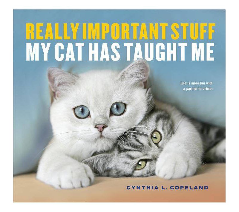 Really Important Stuff My Cat Has Taught Me (Paperback) (Cynthia L. Copeland)