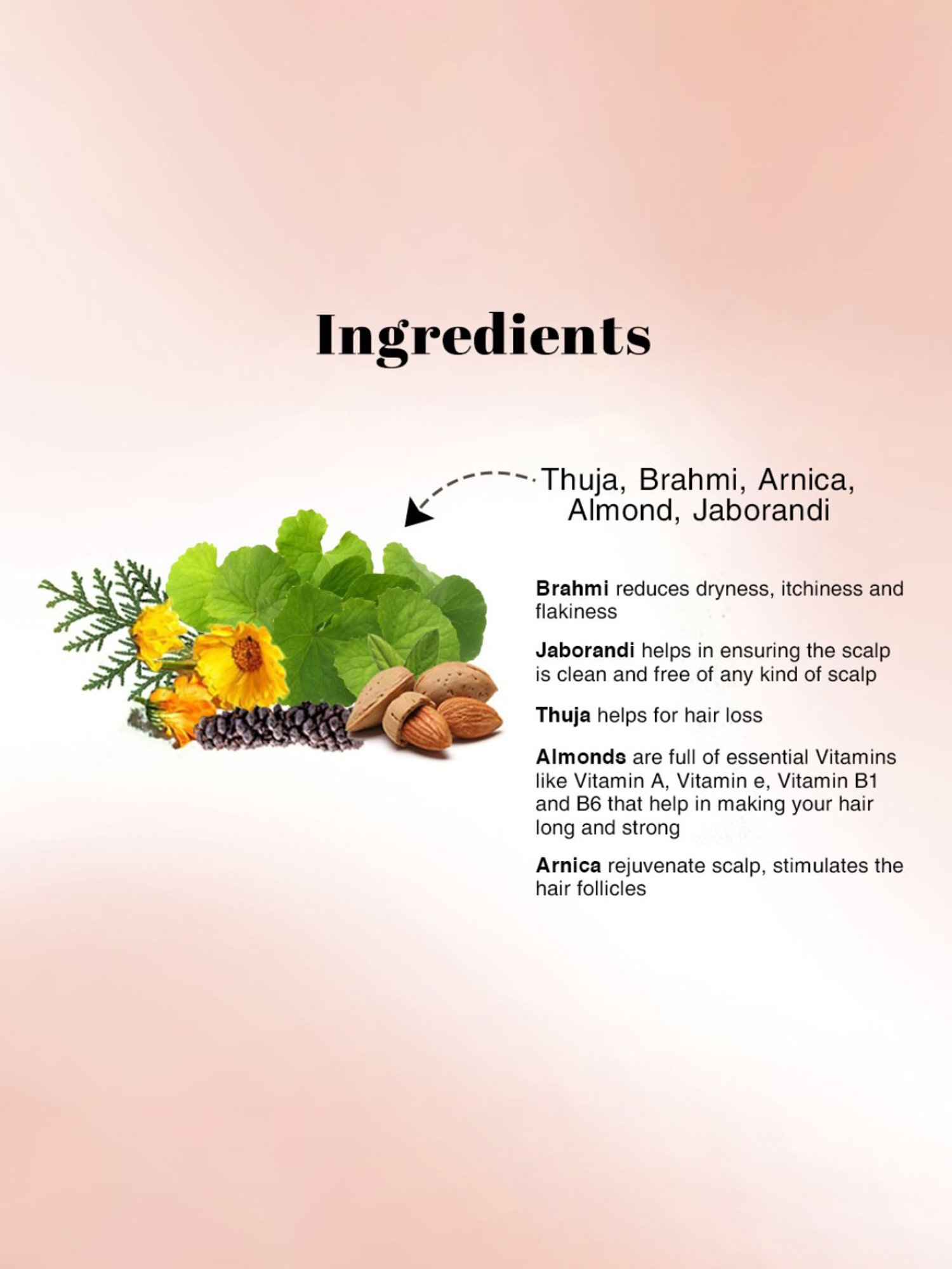 Richfeel Hair Root Nourisher - Pack of 2