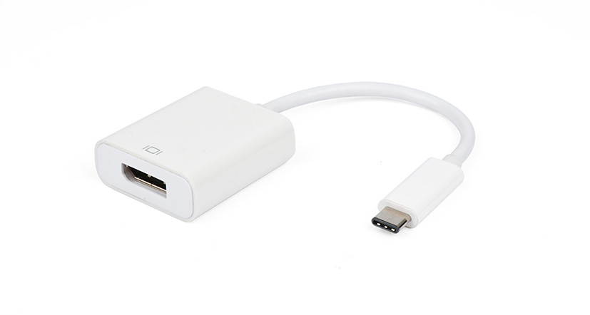 USB- C to Display Port Adapter - 4K