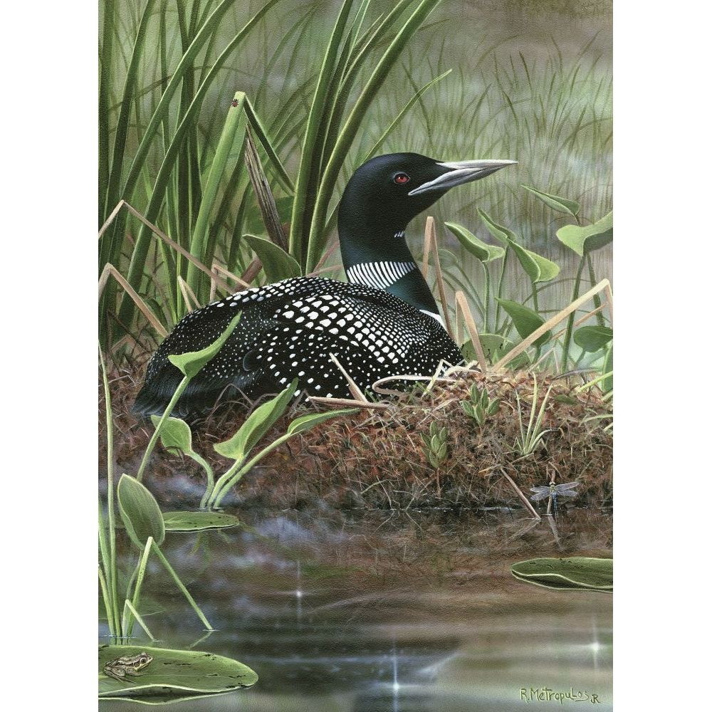 Symbol of the North 1000-Piece Puzzle