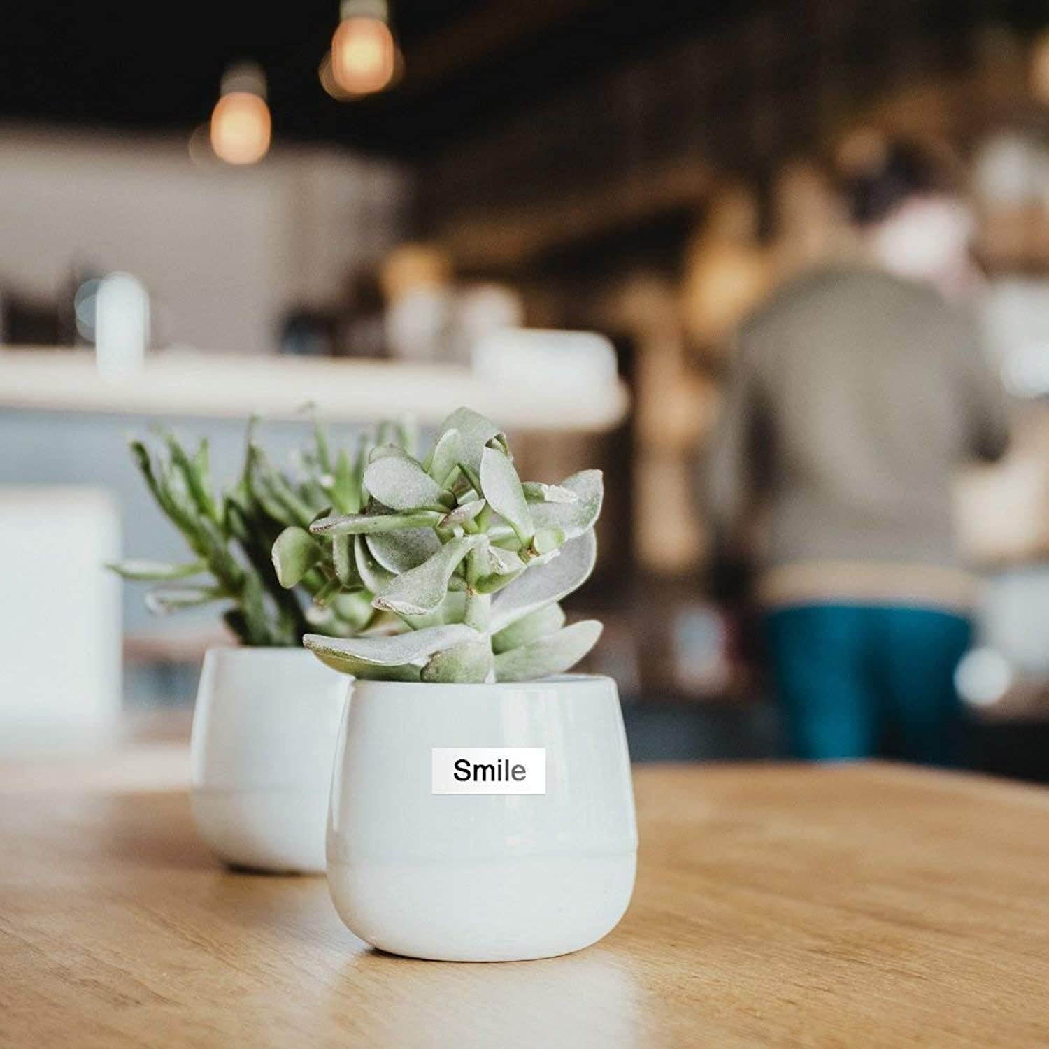 AOJE Compatible Label Tape Replacement for DYMO LetraTag Labeling Refills 16952 91330 91331, Black on Clear/White Plastic/Paper for LetraTag LT-100H LT-100T Label Maker, 1/2 Inch x 13 feet, 8-Pack