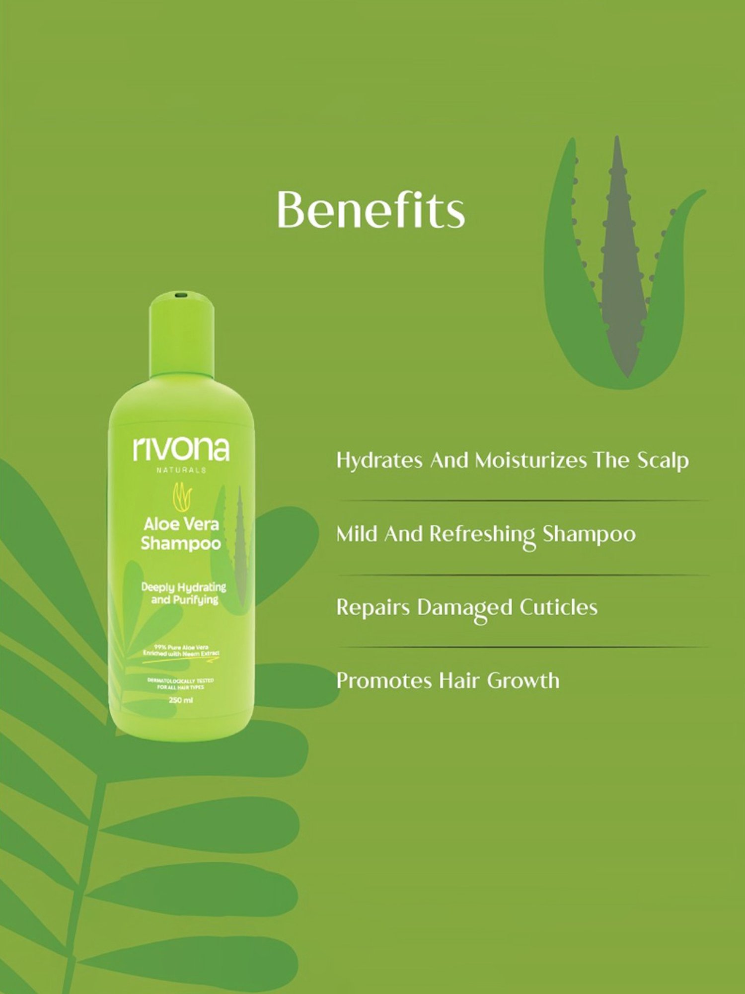 Rivona Naturals Deeply Hydrating and Purifying Aloe Vera Shampoo - 250 ml