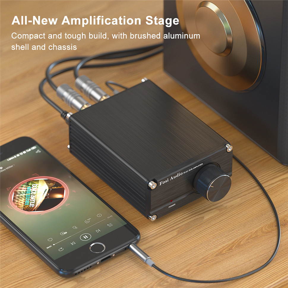 Subwoofer Amplifier Receiver 100Watt Mini Hi-Fi Digital Class D Integrated Stereo Audio Amp for Sub Bass + Power Supply TP-01