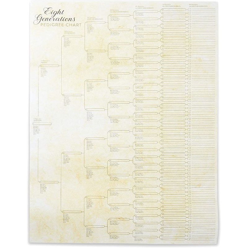 Sustainable Greetings 50 Sheets Black Stationary Paper for Arts Crafts, A4 Letter Size 8.5 x 11 in