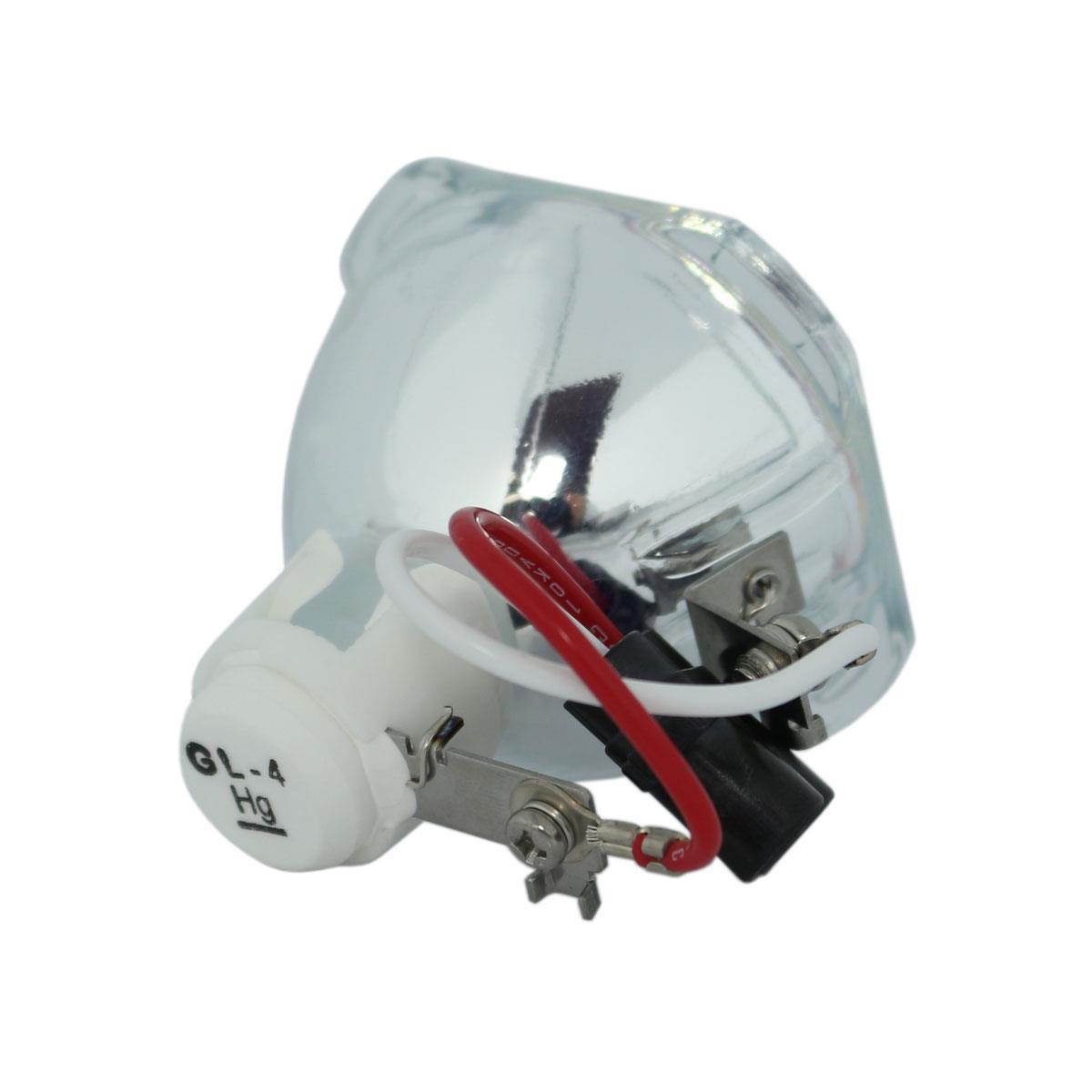 Original Phoenix Projector Lamp Replacement for Phoenix SHP59 (Bulb Only)