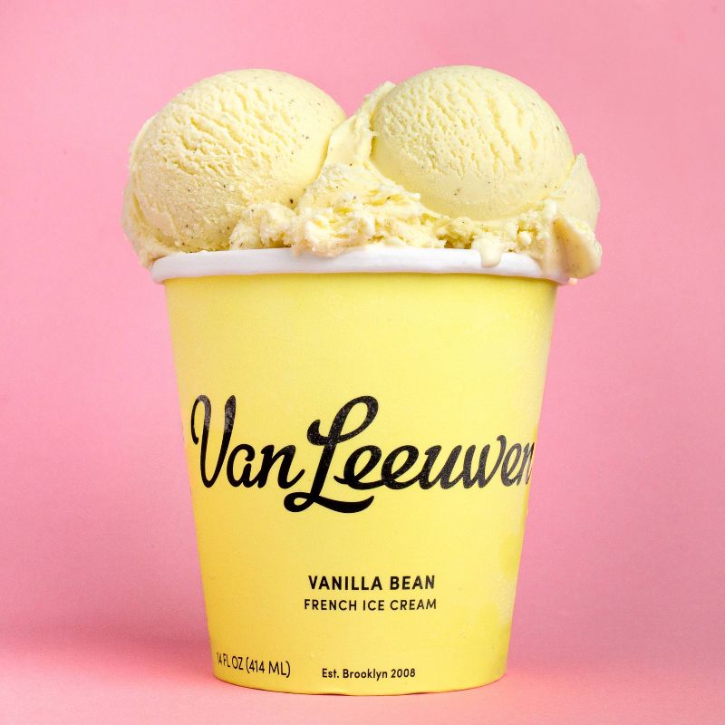 Van Leeuwen Vanilla Bean Ice Cream - 14oz