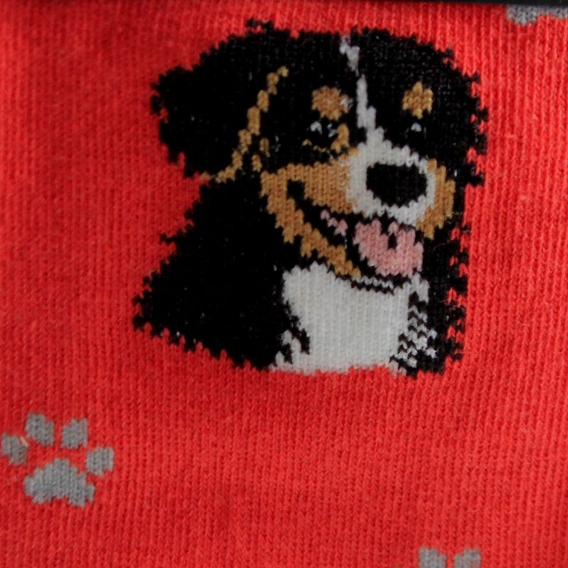 Novelty Socks 15.25" Bernese Mountain Dog Socks Premium Quality E & S Pet  -  Socks