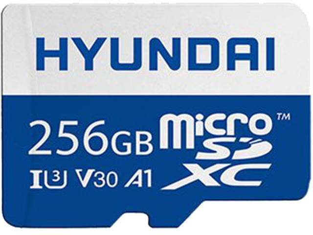 256GB 4K MICRO SDXC LIFETIME