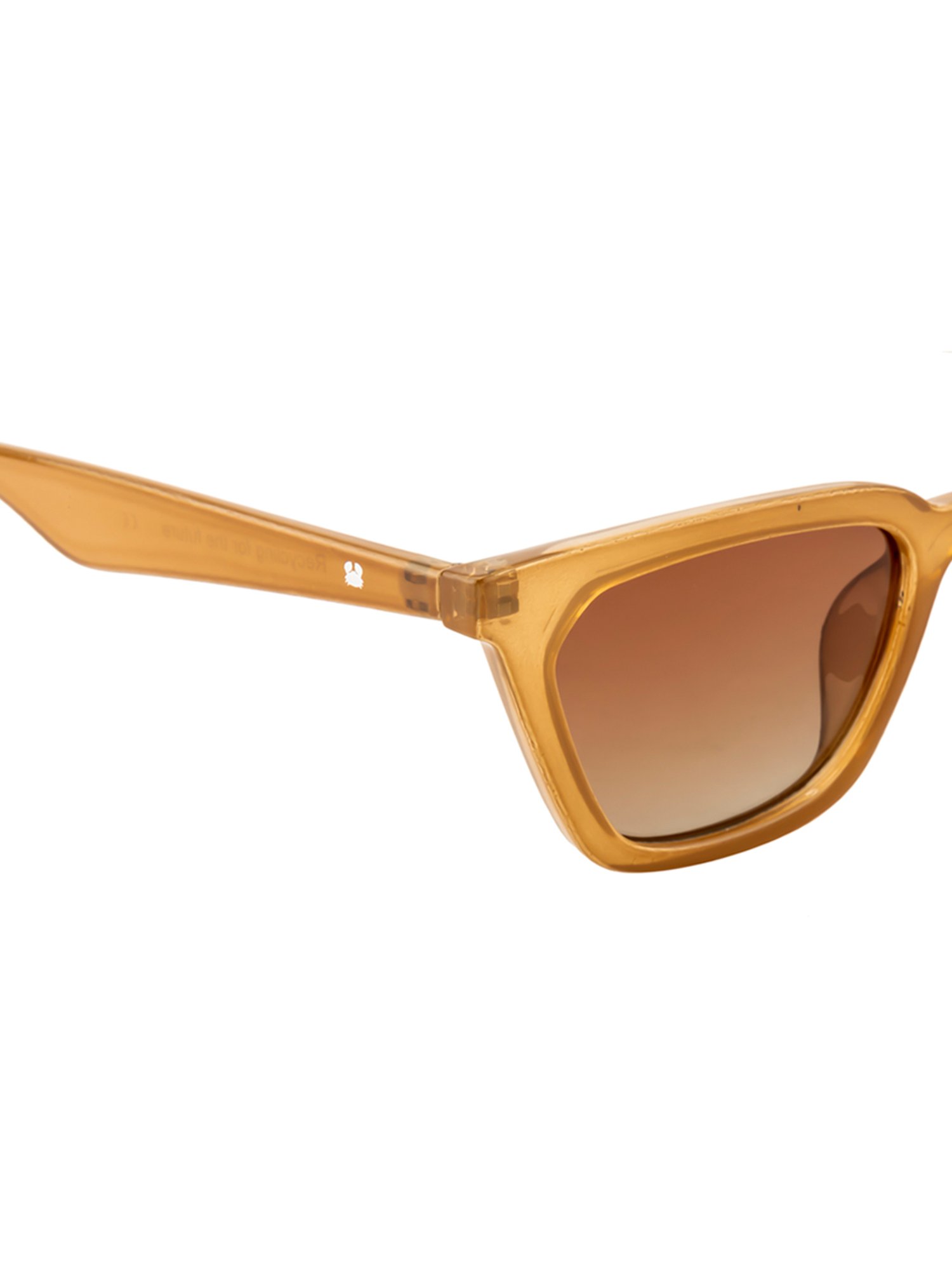 Oceanides Green Wayfarer Unisex Sunglasses