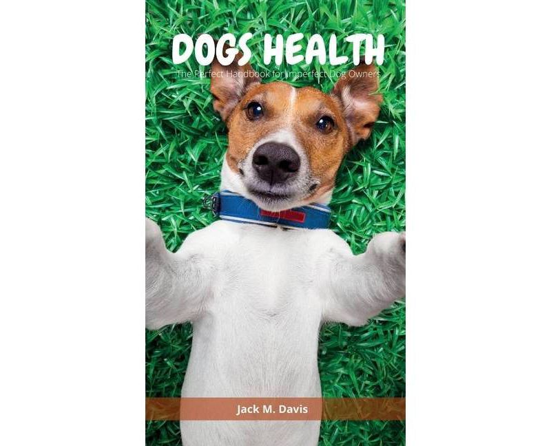 Behold the Personal Maine Coon - by  Phyllis Stiebens (Paperback)