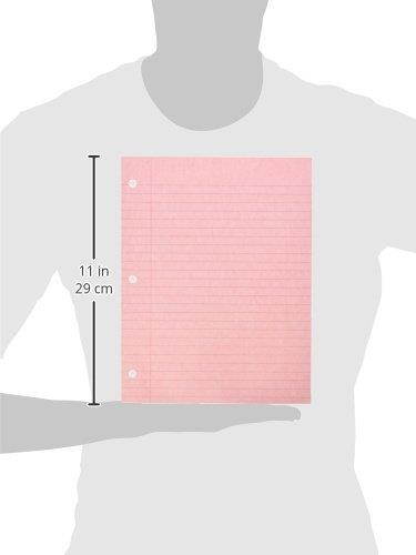 School Smart 3-Hole Punched Filler Paper, 8-1/2 x 11 Inches, Pink, 100 Sheets