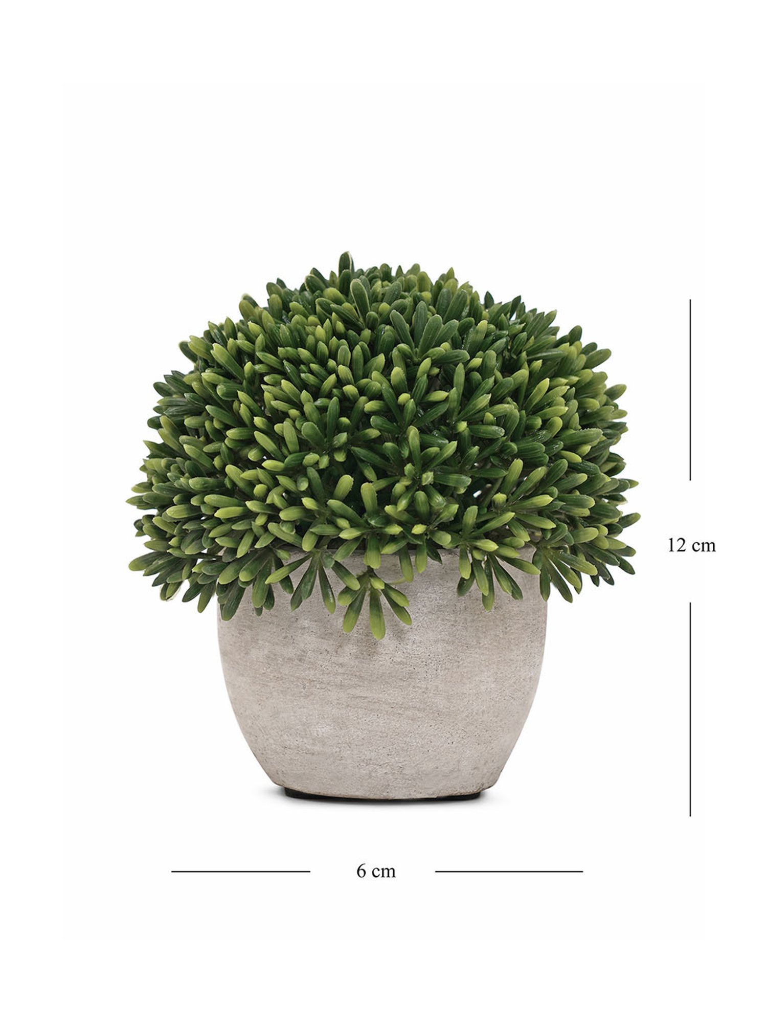 Pure Home and Living Green Plastic Potted Plants